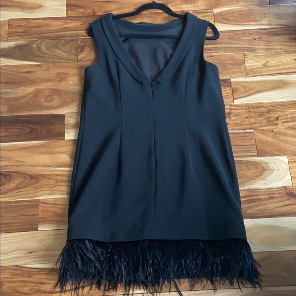 Black dress with think feathers at bottom rim